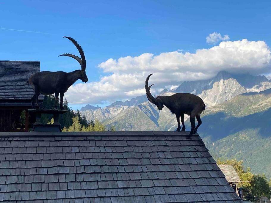 Apartament Praz Sur Arly - Proche Des Pistes Et De Megeve Zewnętrze zdjęcie