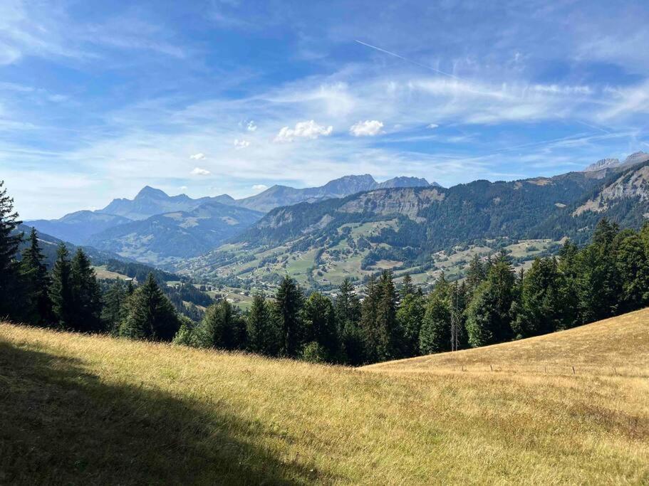 Apartament Praz Sur Arly - Proche Des Pistes Et De Megeve Zewnętrze zdjęcie