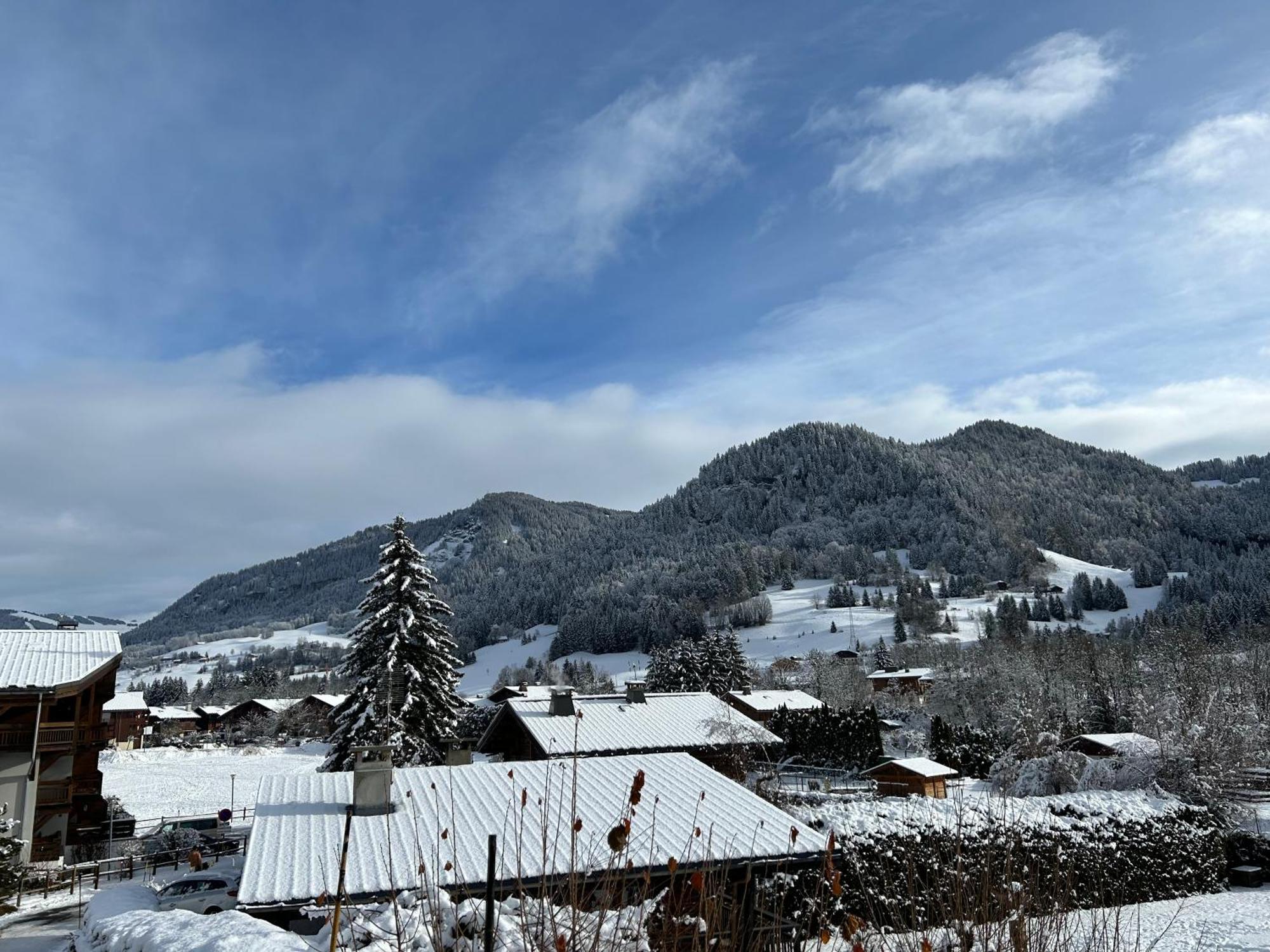Apartament Praz Sur Arly - Proche Des Pistes Et De Megeve Zewnętrze zdjęcie